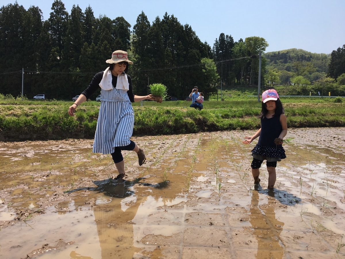 f:id:kikori-farm:20190526144950j:plain f:id:kikori-farm:20190526144950j:plain