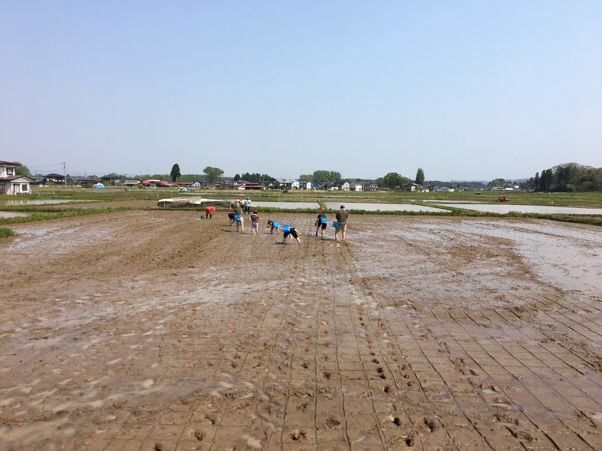 f:id:kikori-farm:20190526150202j:plain f:id:kikori-farm:20190526150202j:plain