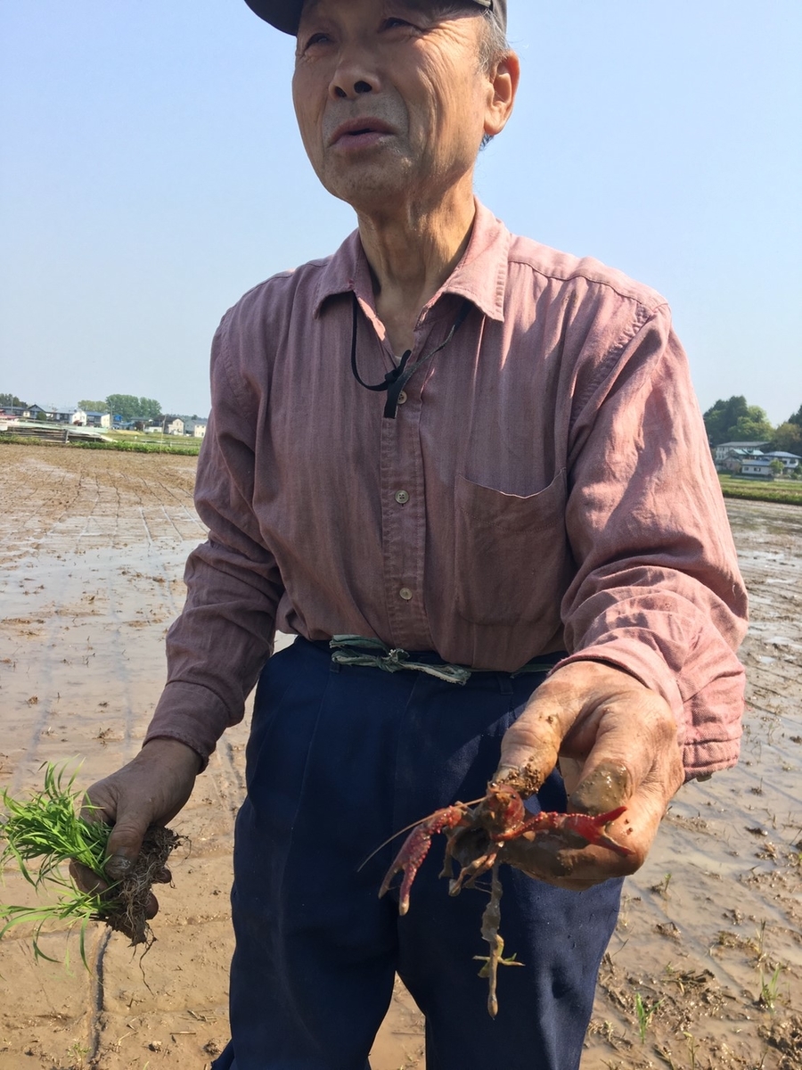 f:id:kikori-farm:20190526152327j:plain f:id:kikori-farm:20190526152327j:plain