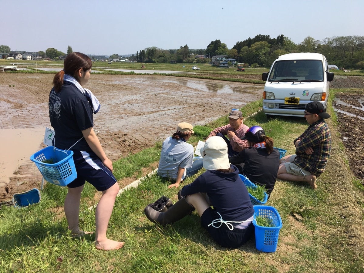 f:id:kikori-farm:20190526153302j:plain f:id:kikori-farm:20190526153302j:plain
