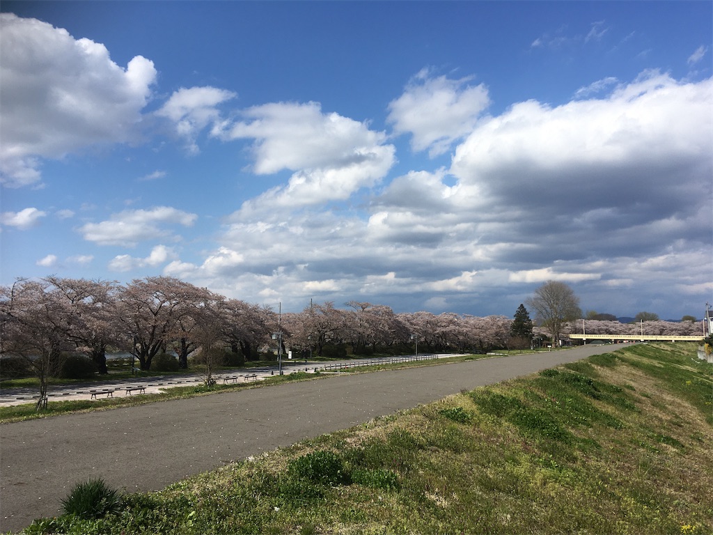 f:id:kikori-farm:20200428171655j:image f:id:kikori-farm:20200428171655j:image