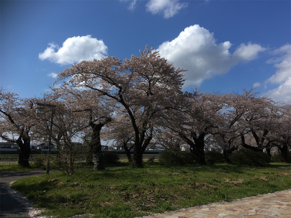 f:id:kikori-farm:20200428171814j:image f:id:kikori-farm:20200428171814j:image