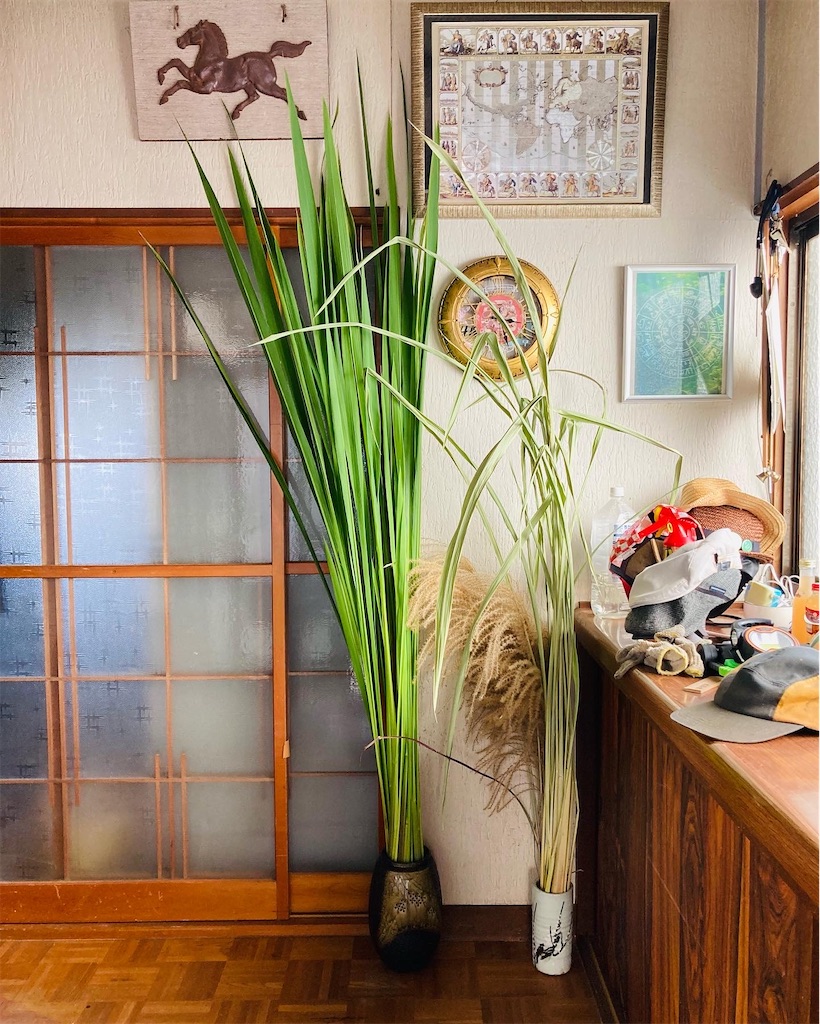 f:id:kikori-farm:20221017214725j:image f:id:kikori-farm:20221017214725j:image