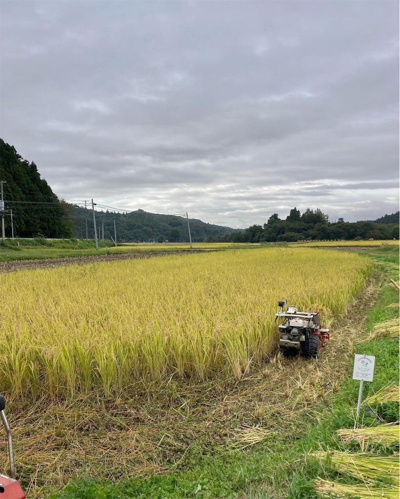 f:id:kikori-farm:20221017214901j:image f:id:kikori-farm:20221017214901j:image
