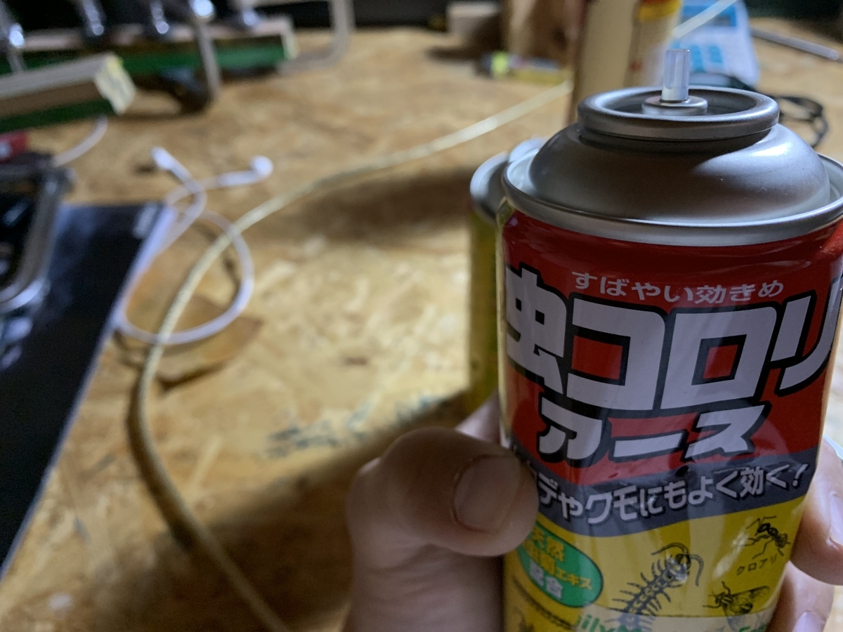 f:id:kikoriallday:20190321103551j:plain f:id:kikoriallday:20190321103551j:plain