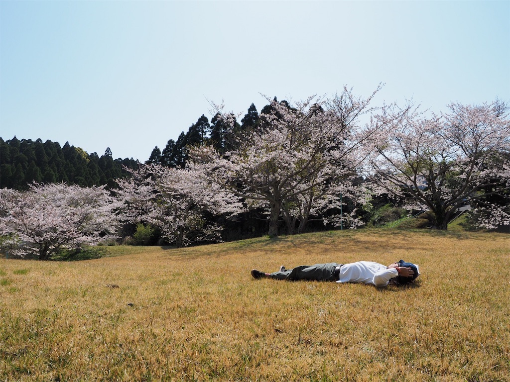 f:id:kikoriallday:20190406212130j:image