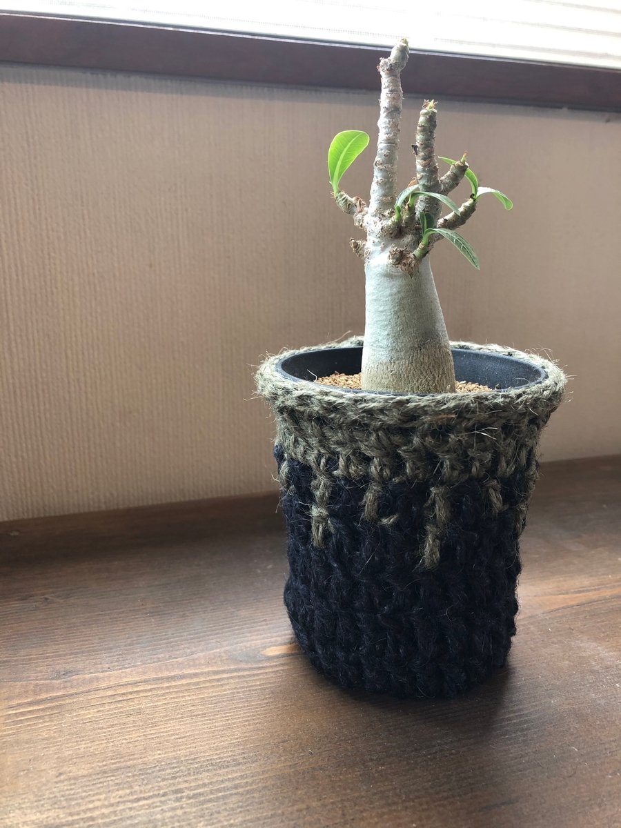 f:id:kikoriallday:20191025093059j:plain