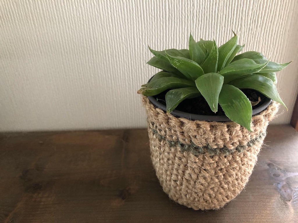 f:id:kikoriallday:20191025094501j:plain