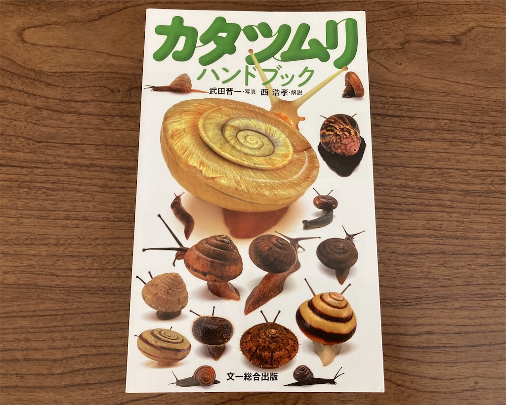 f:id:kikoricafe:20251108125252j:image