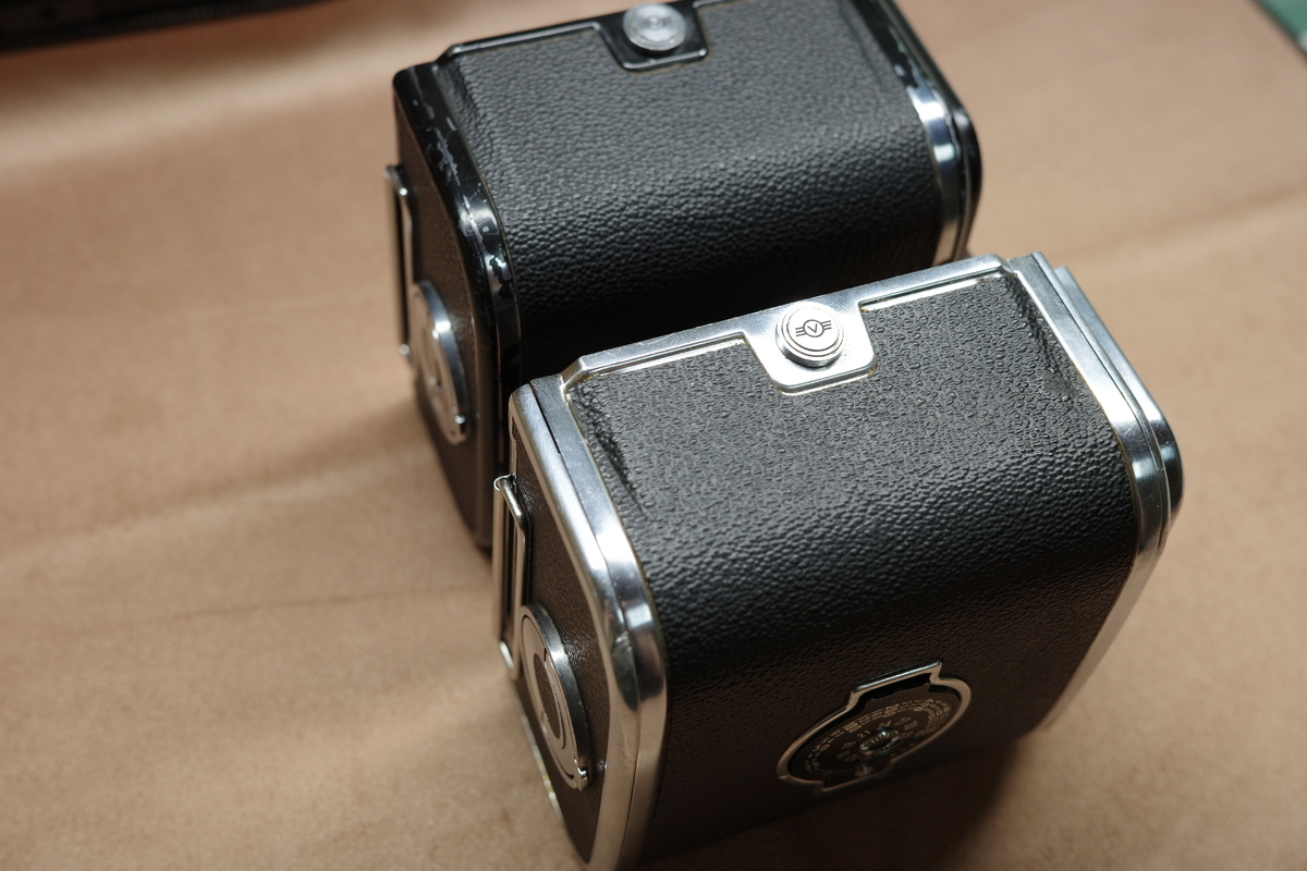 HASSELBLAD C12マガジンについて - 橋の上のたぬき
