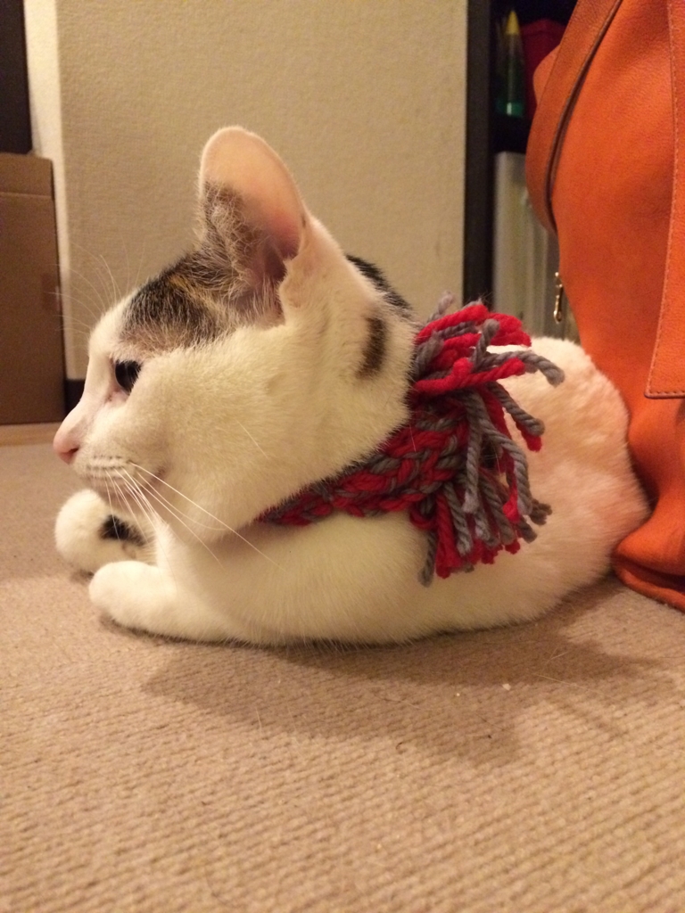 f:id:kikorineko:20151223110606j:plain f:id:kikorineko:20151223110606j:plain