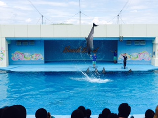 f:id:kikouryuuou:20170722105215j:plain f:id:kikouryuuou:20170722105215j:plain