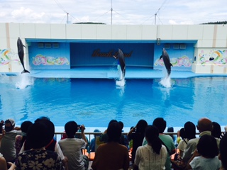f:id:kikouryuuou:20170722105228j:plain f:id:kikouryuuou:20170722105228j:plain