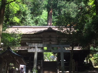 f:id:kikouryuuou:20180513105158j:plain f:id:kikouryuuou:20180513105158j:plain