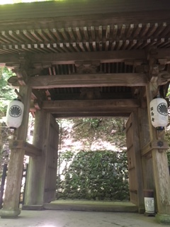 f:id:kikouryuuou:20180513110128j:plain f:id:kikouryuuou:20180513110128j:plain