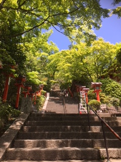 f:id:kikouryuuou:20180513110533j:plain f:id:kikouryuuou:20180513110533j:plain