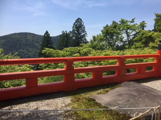 f:id:kikouryuuou:20180513110554j:plain f:id:kikouryuuou:20180513110554j:plain