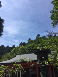 f:id:kikouryuuou:20180513135856j:plain f:id:kikouryuuou:20180513135856j:plain