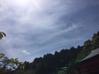 f:id:kikouryuuou:20180513135950j:plain f:id:kikouryuuou:20180513135950j:plain
