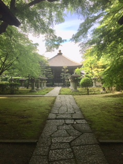 f:id:kikouryuuou:20180513142538j:plain f:id:kikouryuuou:20180513142538j:plain