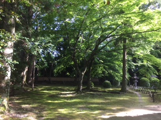 f:id:kikouryuuou:20180513142645j:plain f:id:kikouryuuou:20180513142645j:plain