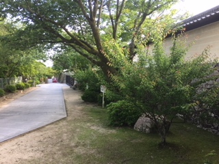f:id:kikouryuuou:20180513142752j:plain f:id:kikouryuuou:20180513142752j:plain