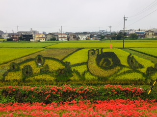f:id:kikouryuuou:20180922090638j:plain f:id:kikouryuuou:20180922090638j:plain