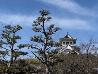 f:id:kikouryuuou:20190320201734j:plain f:id:kikouryuuou:20190320201734j:plain
