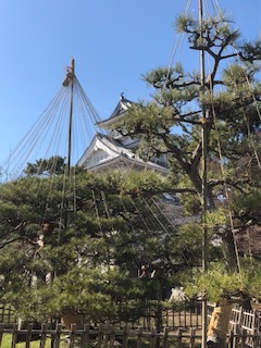 f:id:kikouryuuou:20190320201813j:plain f:id:kikouryuuou:20190320201813j:plain