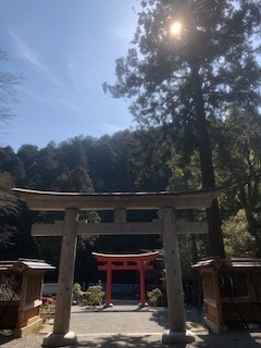 f:id:kikouryuuou:20200307133155j:plain f:id:kikouryuuou:20200307133155j:plain