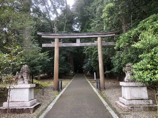 f:id:kikouryuuou:20200314120258j:plain f:id:kikouryuuou:20200314120258j:plain