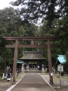 f:id:kikouryuuou:20200314125415j:plain f:id:kikouryuuou:20200314125415j:plain