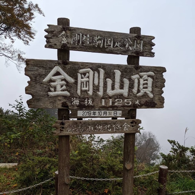 f:id:kikouyuuki:20191106234901j:image