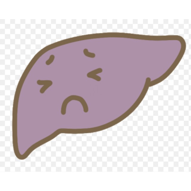 f:id:kikouyuuki:20191206231933j:image f:id:kikouyuuki:20191206231933j:image