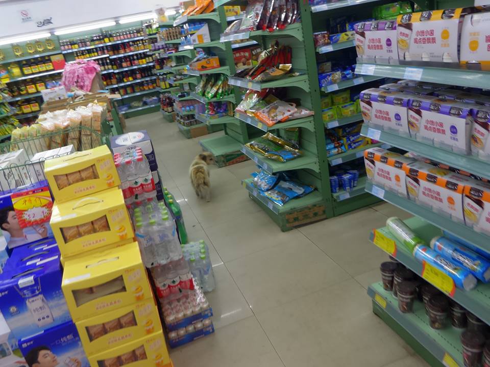 f:id:kikuchidesu:20180526212547j:plain f:id:kikuchidesu:20180526212547j:plain