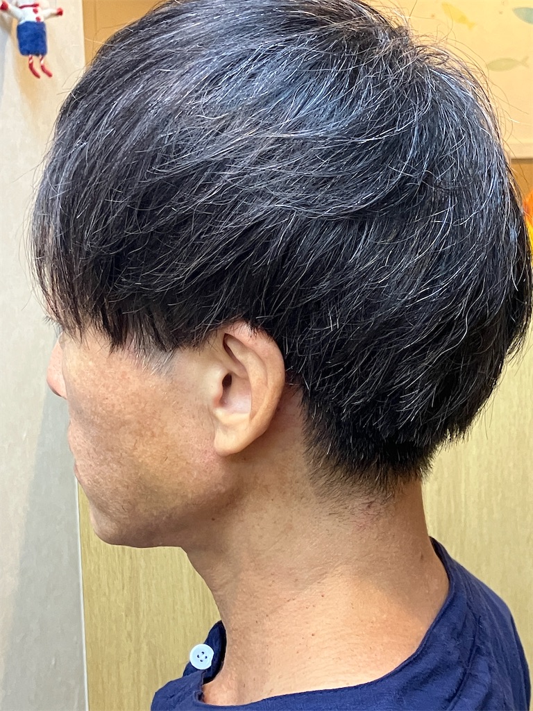 f:id:kikuchiroshi:20250821174403j:image