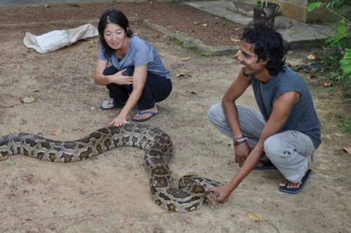 インドニシキヘビさん 馬路村の皆さん元気ですか