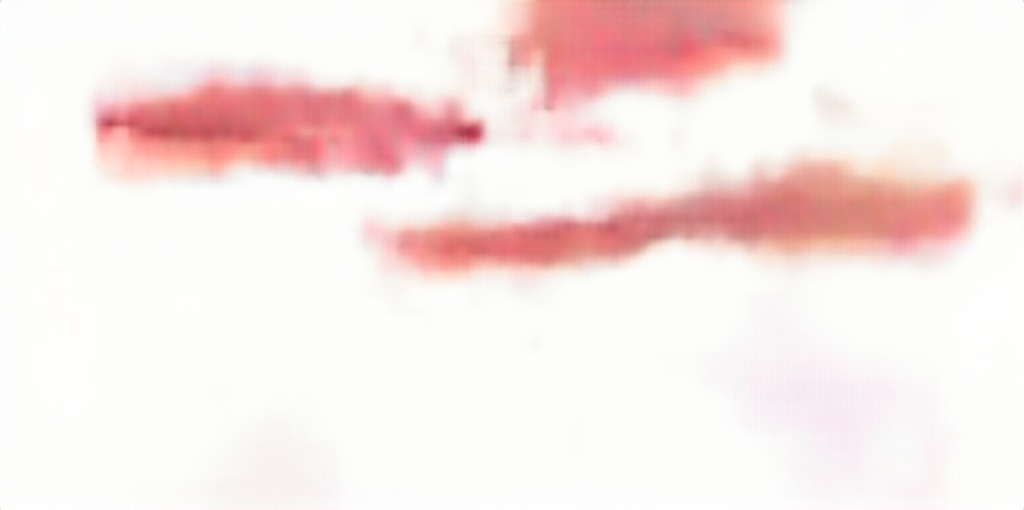 f:id:kikui_y:20190301175511j:plain