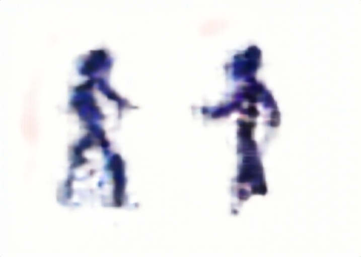 f:id:kikui_y:20190410102115j:plain