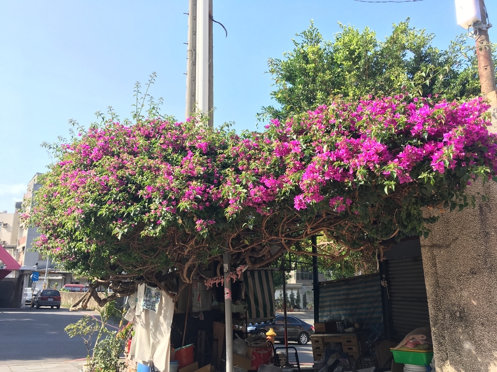 f:id:kikukikuku:20190301005553j:plain f:id:kikukikuku:20190301005553j:plain