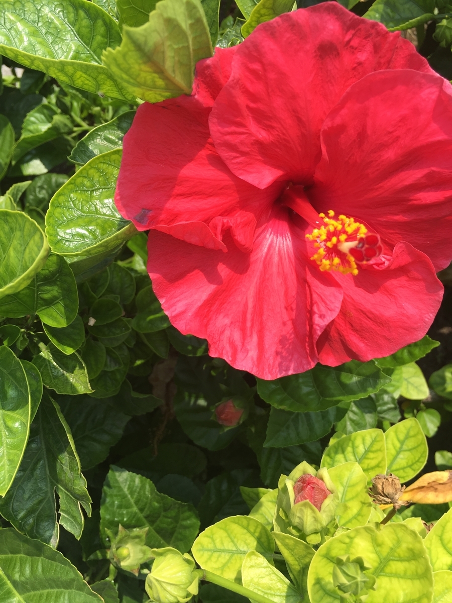 海外では当たり前 生理後症候群 月経後症候群 をご存知 生理とわたし きくの慢慢世界放浪記