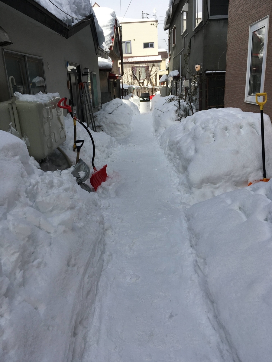 f:id:kikukikuku:20220301124750j:plain