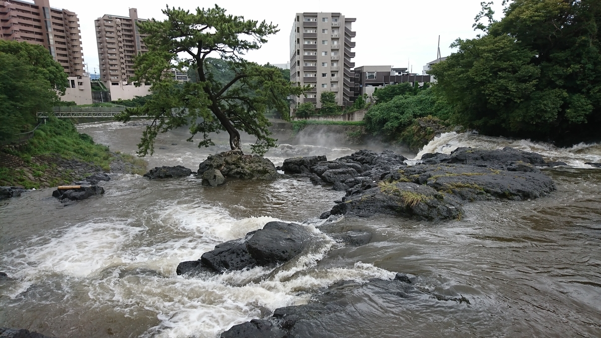 f:id:kikunato:20200724030817j:plain f:id:kikunato:20200724030817j:plain