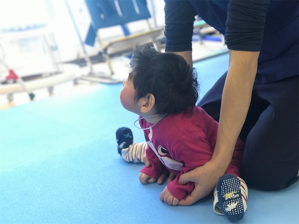 f:id:kikuo_tamura:20190122165833j:image f:id:kikuo_tamura:20190122165833j:image