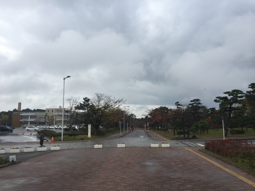 f:id:kikuringworld:20181118193349j:plain