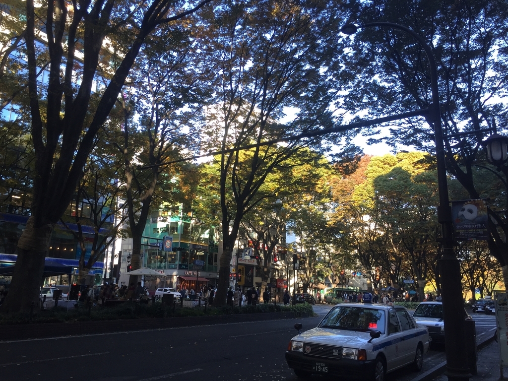 f:id:kikuringworld:20181124221838j:plain