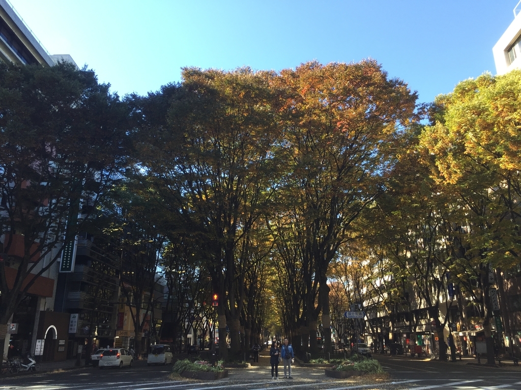 f:id:kikuringworld:20181124221956j:plain