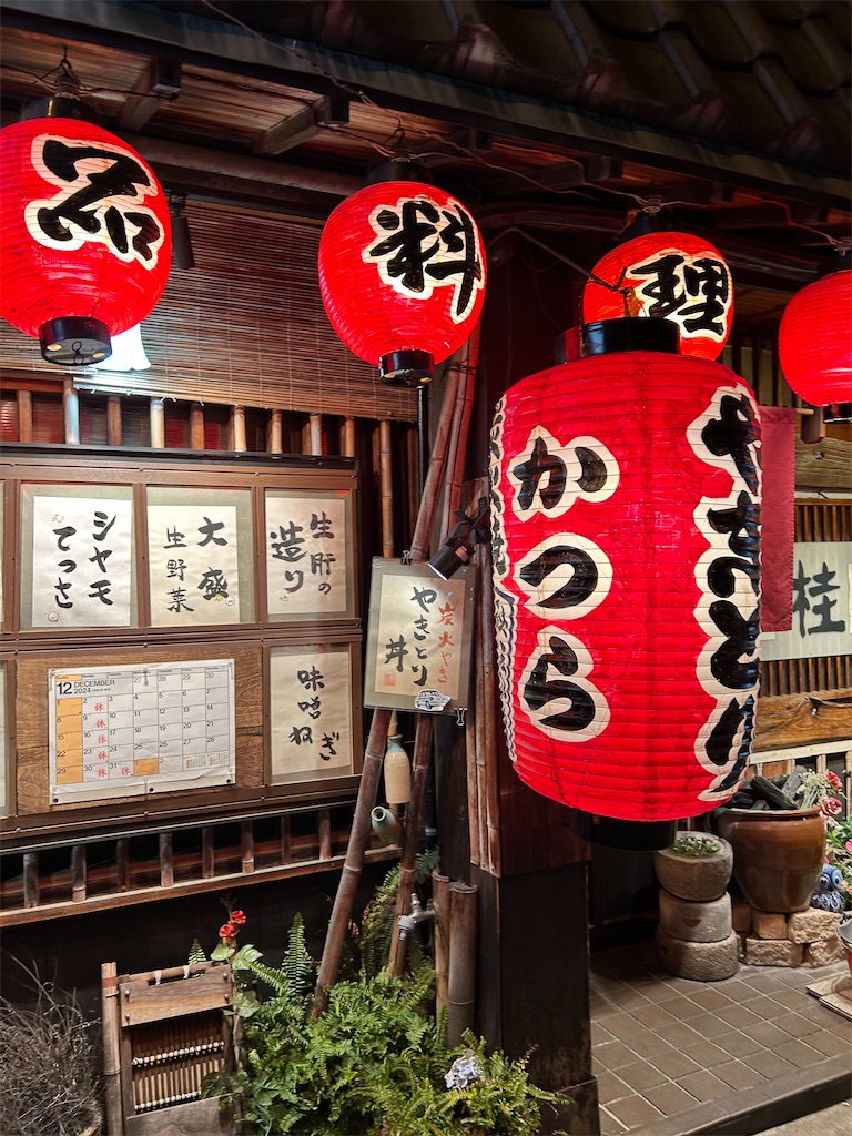 f:id:kikuru:20241226211810j:image