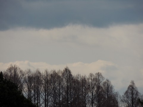 f:id:kikusankikuosan:20161127233647j:plain
