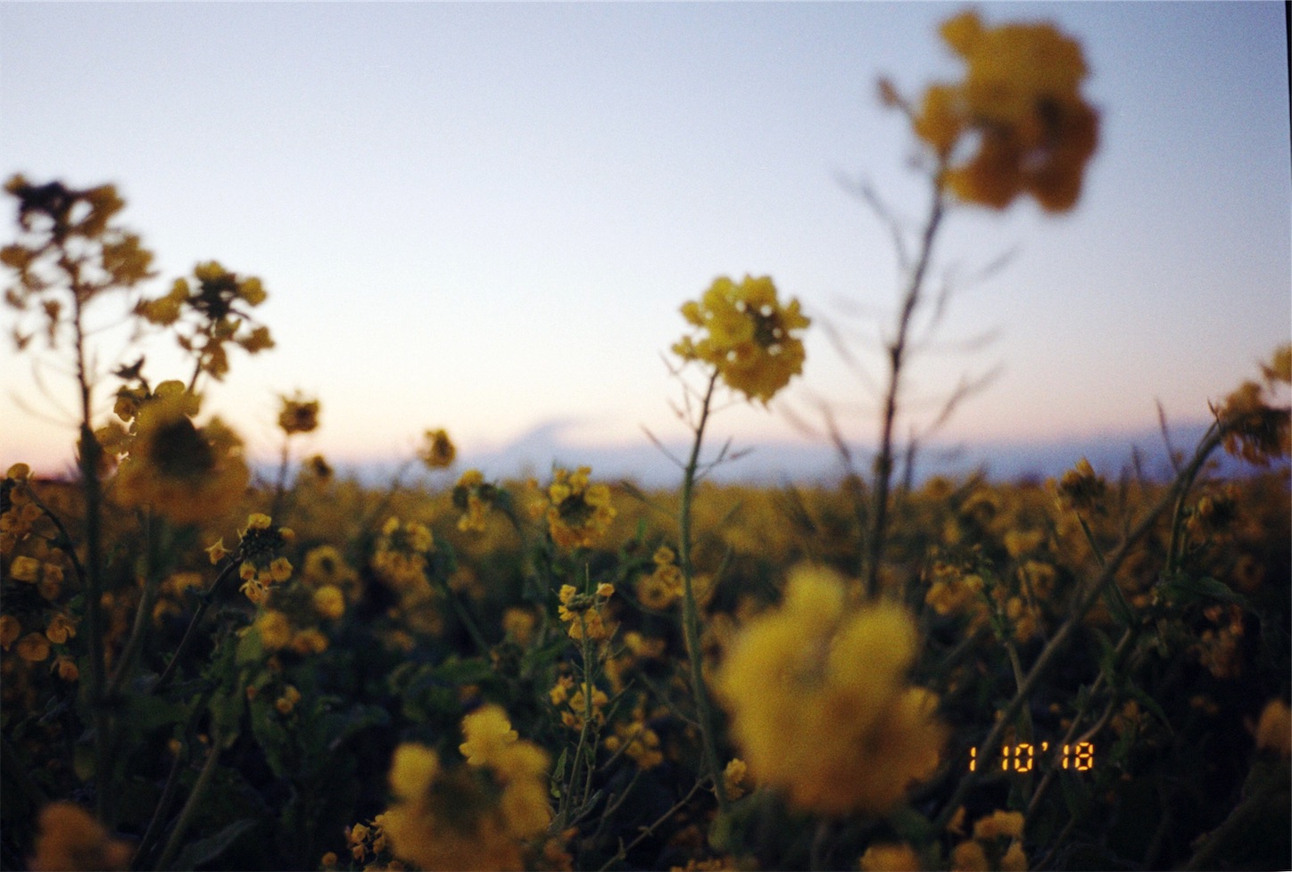 f:id:kikutabayashi:20200117000741j:image